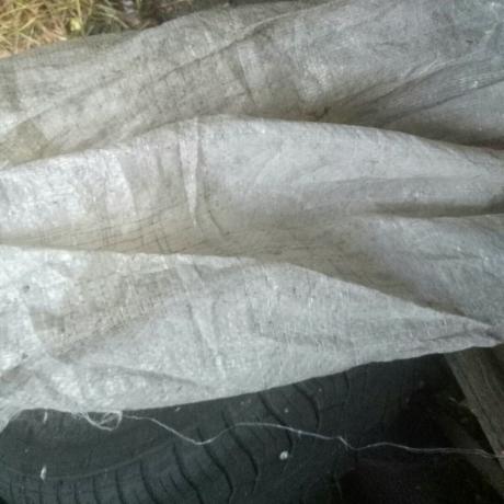 चीनी के नीचे से बैग के स्ट्रिप्स में कटौती और सर्दियों के पेड़ में अपनी सूंड लपेटा।