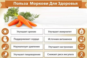 कैसे उपयोगी गाजर का रस, समीक्षा