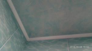 मरम्मत में सबसे आगे ही शैली सेट (बाथरूम में नवीकरण)