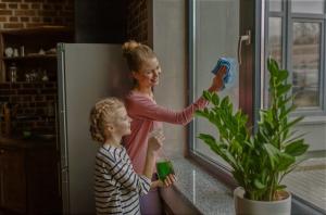 कैसे साफ खिड़कियां, को और अधिक लाभ, नहीं नुकसान लाने के लिए। 5 सरल कदम