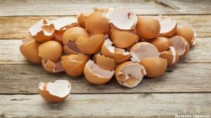 Eggshell: शरद ऋतु बगीचे में 3 उपयोगी अनुप्रयोगों