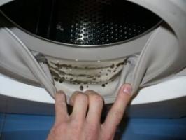 कपड़े धोने की मशीन से बासी गंध को दूर करने के लिए कैसे