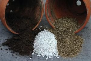 इनडोर बागवानी में vermiculite के अनुप्रयोग