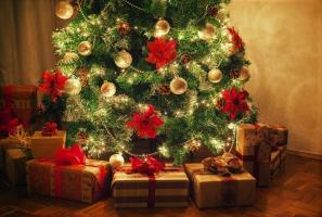 कैसे आपके राशि चिह्न के आधार पर एक क्रिसमस का पेड़ चयन करने के लिए। 12 बकाया विचारों