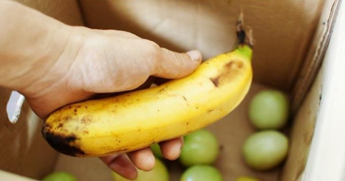 पका हुआ केला हरे टमाटर की पकने को तेज करता है