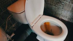कैसे जल्दी और आसानी जंग और पीले रंग पट्टिका से शौचालय साफ करने के लिए?