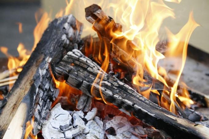 स्थलों पर Campfires अग्नि सुरक्षा और शांति पसंदीदा पड़ोसियों का ख्याल रखना 🙂