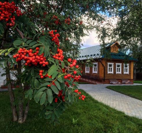 रोवन - रूसी गांवों के एक परंपरागत आभूषण! (Playcast.ru से फोटो)