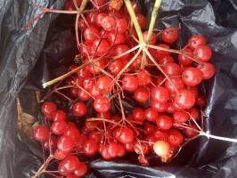 10 कदम Viburnum का फल से फंकी जाम तैयार
