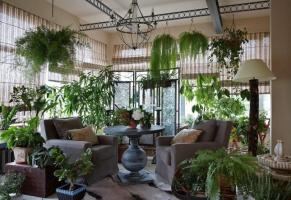 मूल रूप में और सुरुचिपूर्ण ढंग से अपने घर को सजाने के पौधों, अविस्मरणीय कमरे के इंटीरियर बना रही है। 6 डिजाइन विचारों