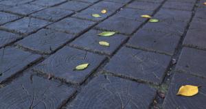 जली हुई लकड़ी की बनी ब्लॉक फ़र्श: अपने ही हाथों से अनन्त उद्यान पथ