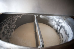 धीरे-धीरे दूध किण्वित दूध मट्ठा जोड़ें। सामग्री जमना मिश्रण के बाद। 