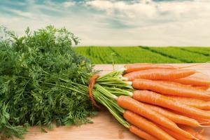3 विशिष्ट समस्याओं है कि जब गाजर से बढ़ पैदा कर सकते
